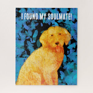 Golden doodle, mein Seelenverwandter!