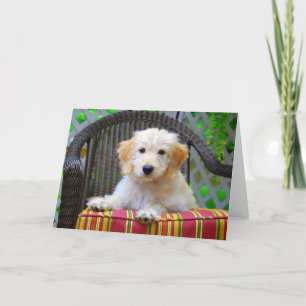 Golden Doodle Puppy Karte