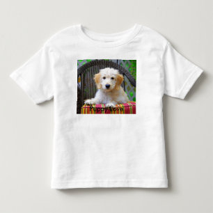 Golden Doodle Puppy Liebe Kleinkind T - Shirt
