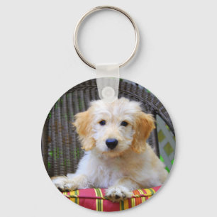 Golden Doodle Puppy Schlüsselanhänger
