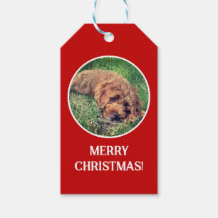 Golden Doodle Rot Geschenkanhänger