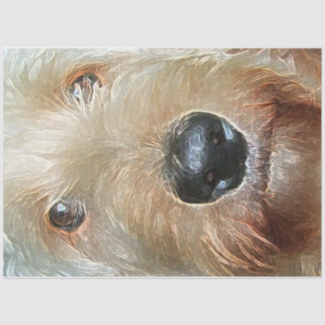 Golden Doodle Tissue für Geschenke und Decoupage Seidenpapier (Vorderseite)