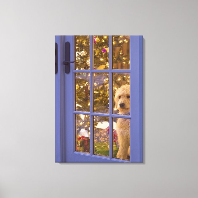 Golden Doodle Welpe mit Glastür Leinwanddruck (Vorderseite)