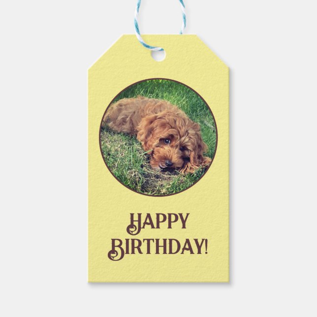 Golden Doodle Yellow Geschenkanhänger (Vorderseite)