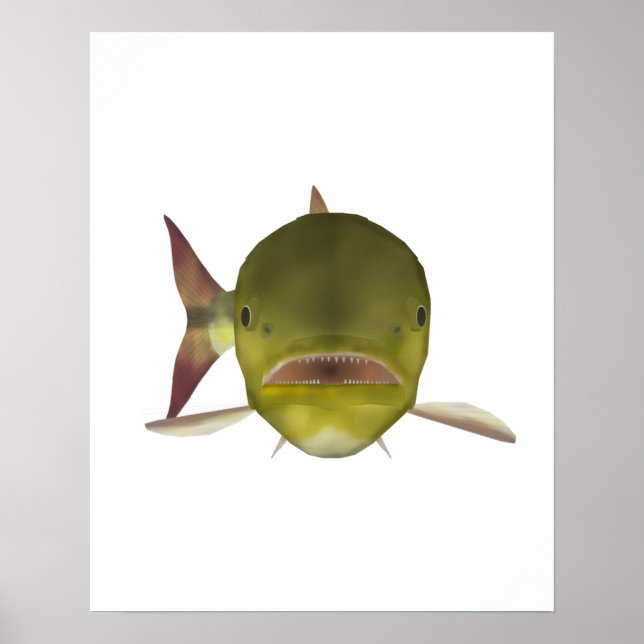 Golden Dorado Fish Head Poster (Vorne)