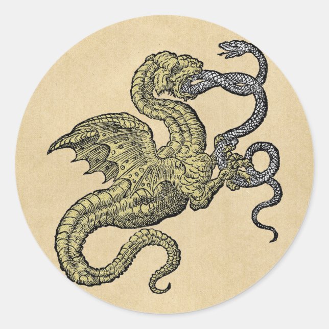 Golden Dragon Fighting Silver Snake Runder Aufkleber (Vorderseite)