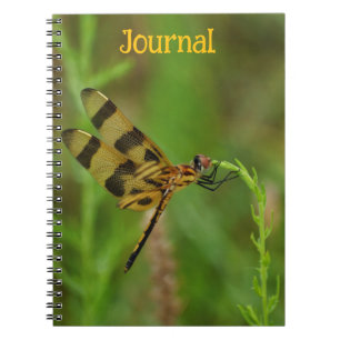 Golden Dragonfly Personal Journal Notizblock
