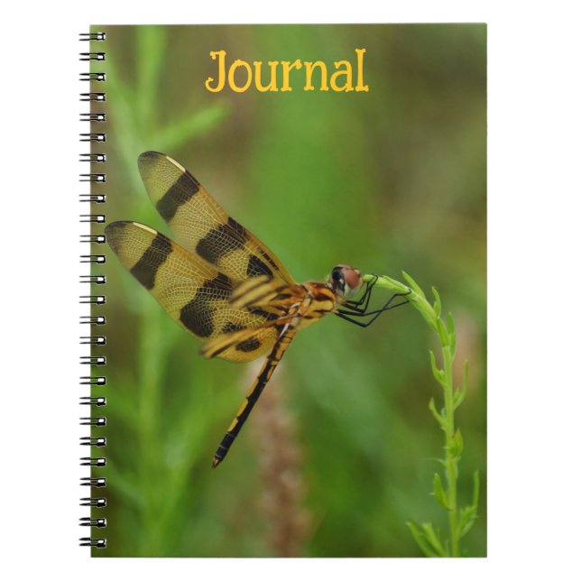 Golden Dragonfly Personal Journal Notizblock (Vorderseite)