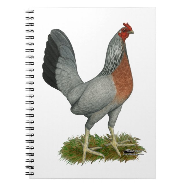 Golden Duckwing Hen Notizblock (Vorderseite)