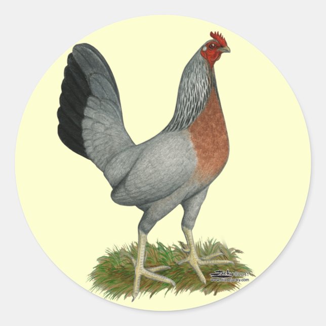 Golden Duckwing Hen Runder Aufkleber (Vorderseite)