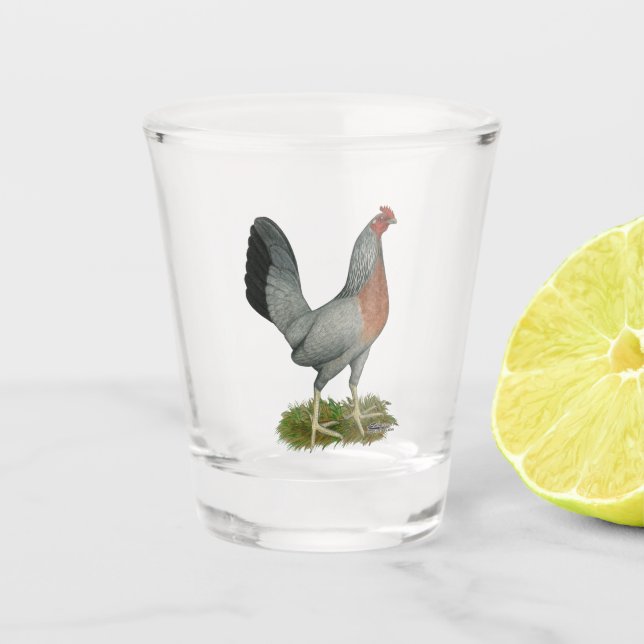 Golden Duckwing Hen Schnapsglas (Vorderseite)