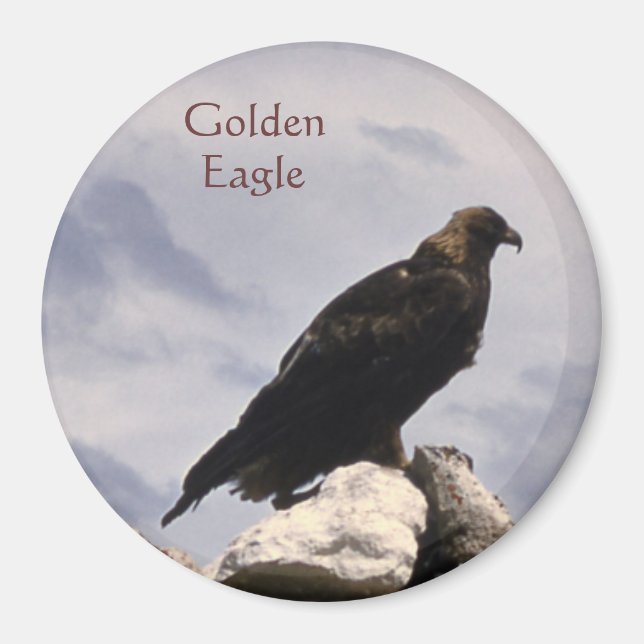 Golden Eagle Magnet (Vorne)