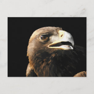 Golden Eagle Portrait Postkarte