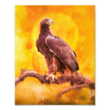 Golden Eagle The GOLDEN ONE