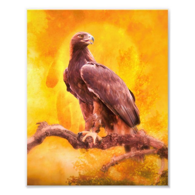 Golden Eagle The GOLDEN ONE Fotodruck (Vorne)