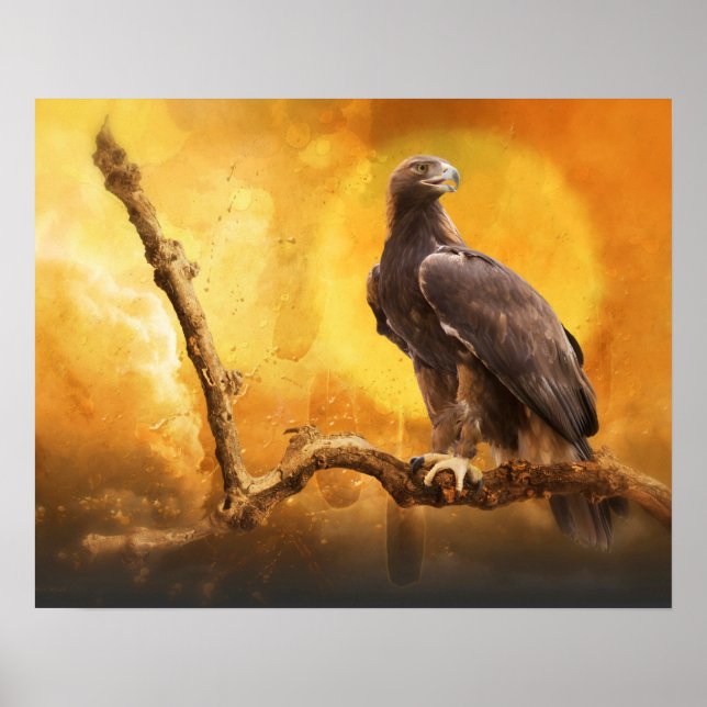 Golden Eagle The GOLDEN ONE Poster (Vorne)