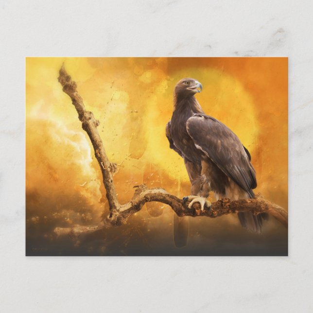 Golden Eagle The GOLDEN ONE Postkarte (Vorderseite)
