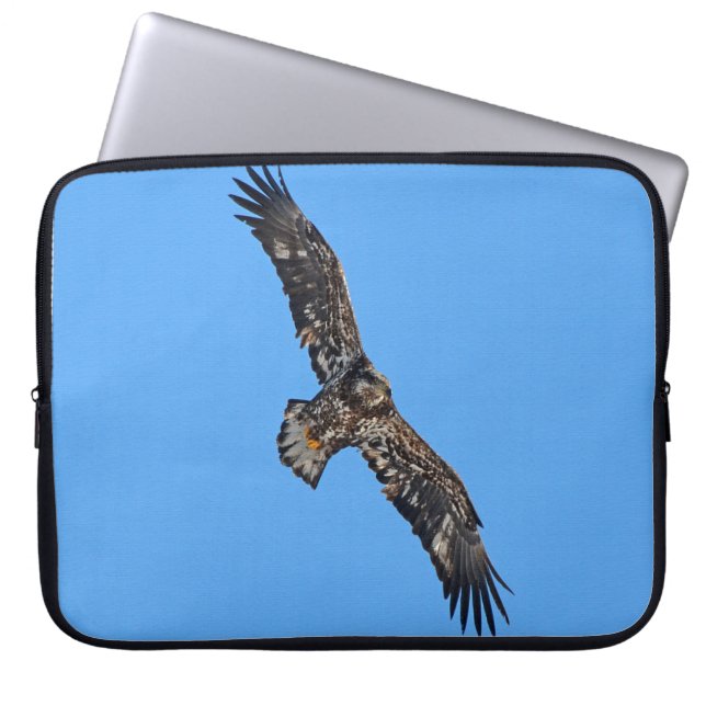 Golden Eagle Wildife Foto Kunst, Dichtung und Musi Laptopschutzhülle (Vorderseite)