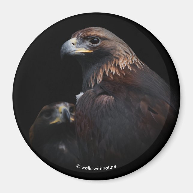 Golden Eagles: Schönheiten Thru the Bars Magnet (Vorne)