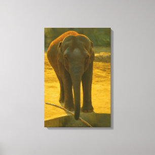 Golden Elephant Wisdom - Majestic Wildlife Leinwanddruck
