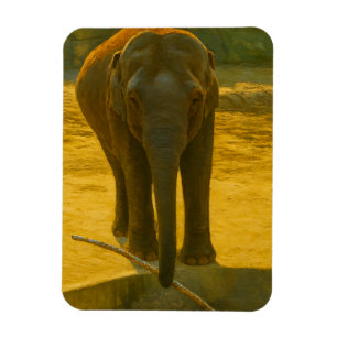 Golden Elephant Wisdom - Majestic Wildlife Magnet