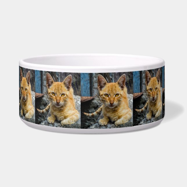 Golden Eyes Bowl Napf (Links)