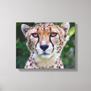 Golden Eyes Wrapped Canvas Leinwanddruck