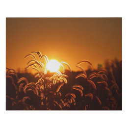 Golden Field Faux Canvas  Künstlicher Leinwanddruck