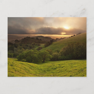 Golden Foggy Sunset, Kalifornien Postkarte