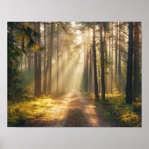 Golden Forest Morgenlicht Wandkunst Poster