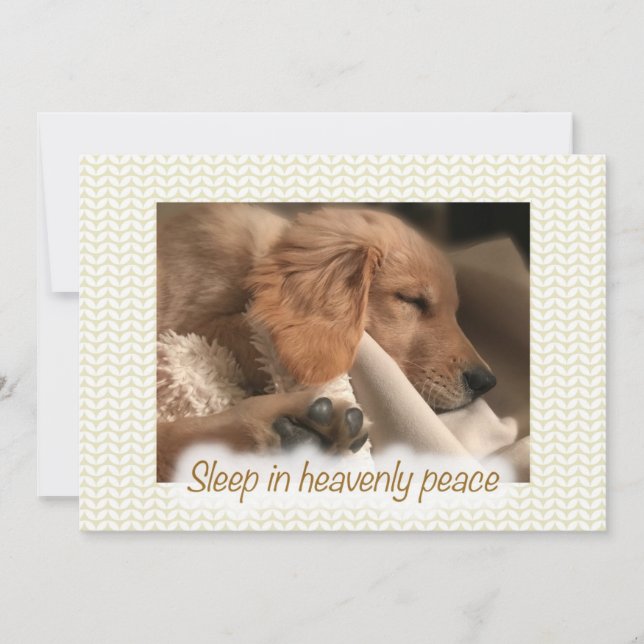 Golden Friedlich Puppy Flat Weihnachtskarte Feiertagskarte (Vorderseite)