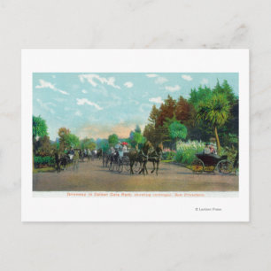 Golden Gate Park Aussicht Postkarte