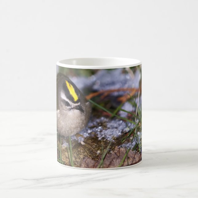 Golden-gekrönte Kinglet-Tasse Kaffeetasse (Mittel)