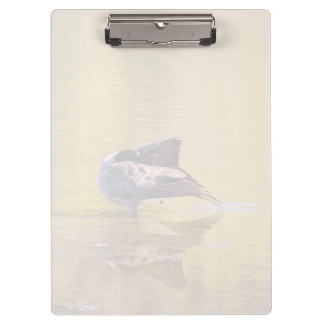 Golden Goose Klemmbrett (Vorderseite)