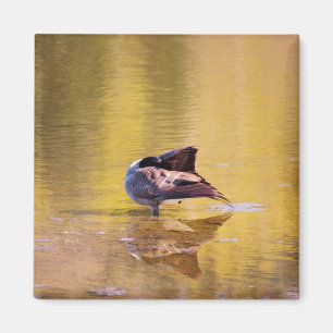 Golden Goose Magnet