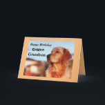 Golden Grandson Geburtstag Golden Retrique Karte<br><div class="desc">Feiern Sie den Geburtstag Ihres Enkels mit einer liebenswerten Karte,  um Golden Retriever Besitzer zu erfreuen. Die Karte verfügt über einen schönen goldenen in einer klassischen Champion Pose. Die Karte ist in fröhlichen Farben in Gold und Schwarz gestaltet und ist ein großartiger Geburtstagskuppel für einen Golden Retriever Fan!</div>