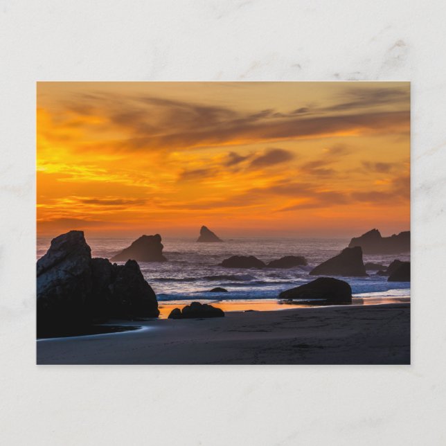 Golden Harris Beach Sunset - Oregon Postkarte (Vorderseite)