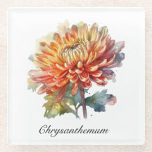 Golden Harvest Chrysanthemum, Brauch