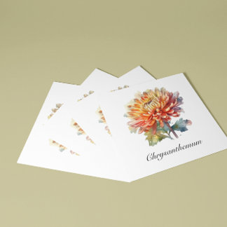 Golden Harvest Chrysanthemum, Brauch Quadratische Visitenkarte