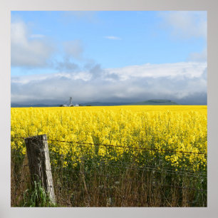 Golden Harvest Poster