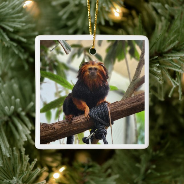 Golden Headed Lion Tamarin III Keramikornament (Baum)