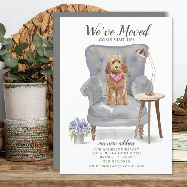 Golden Honey Cockapoo Moving Faire-part (Créateur téléchargé)