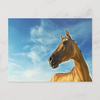 Golden Horse of Turkmenistan Postkarte