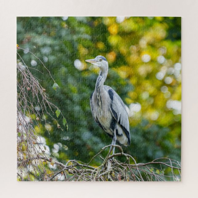 Golden Hour Gray Heron (Vertikal)