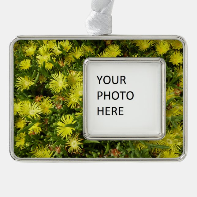 Golden Ice Pflanze Gelbe Blumen Rahmen-Ornament Silber (Vorderseite)