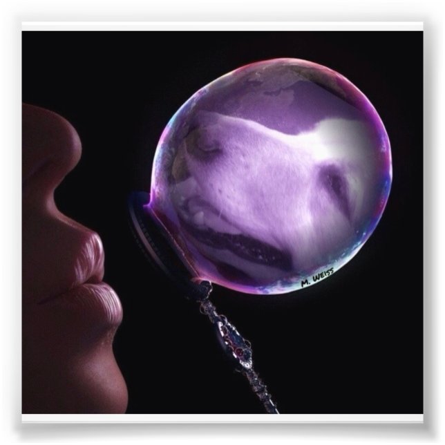 Golden in einer Blase Fotodruck (Vorne)