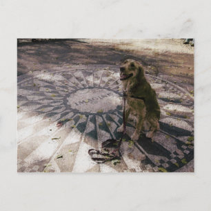Golden in Strawberry Fields alias "Imagine" Postca Postkarte