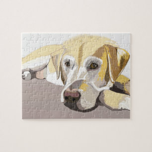 Golden Labrador