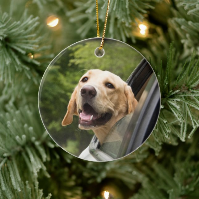 Golden Labrador im Rückspiegel Keramik Ornament (Baum)