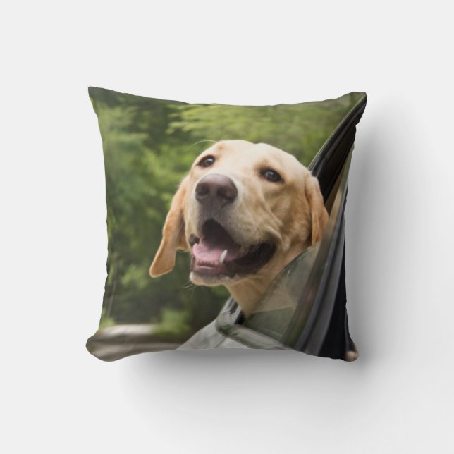 Golden Labrador in Rearview Mirror Kissen (Vorderseite)